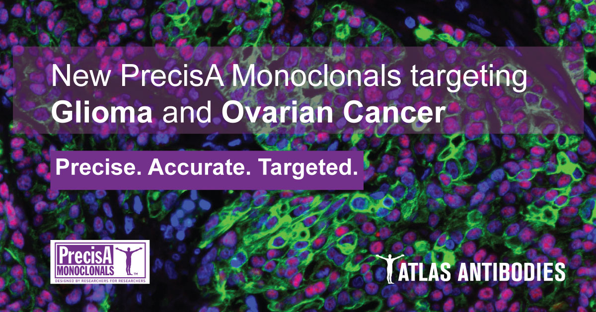 Which tissues are my proteins expressed in? A guide to the Human