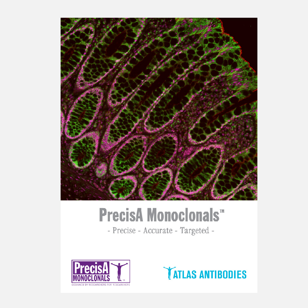 precisa monoclonals catalog atlas antibodies