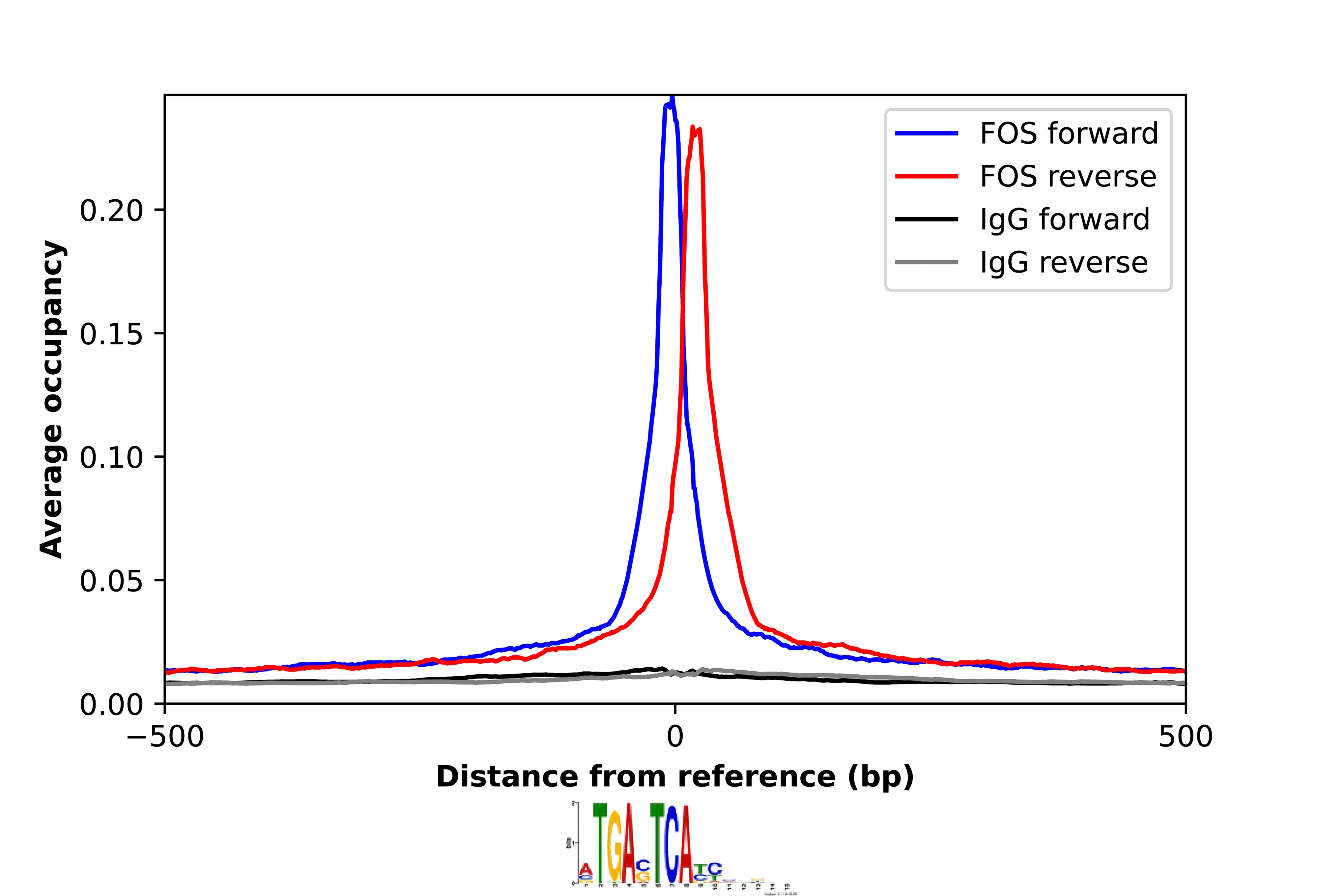 Anti-FOS Human Protein Atlas Antibody
