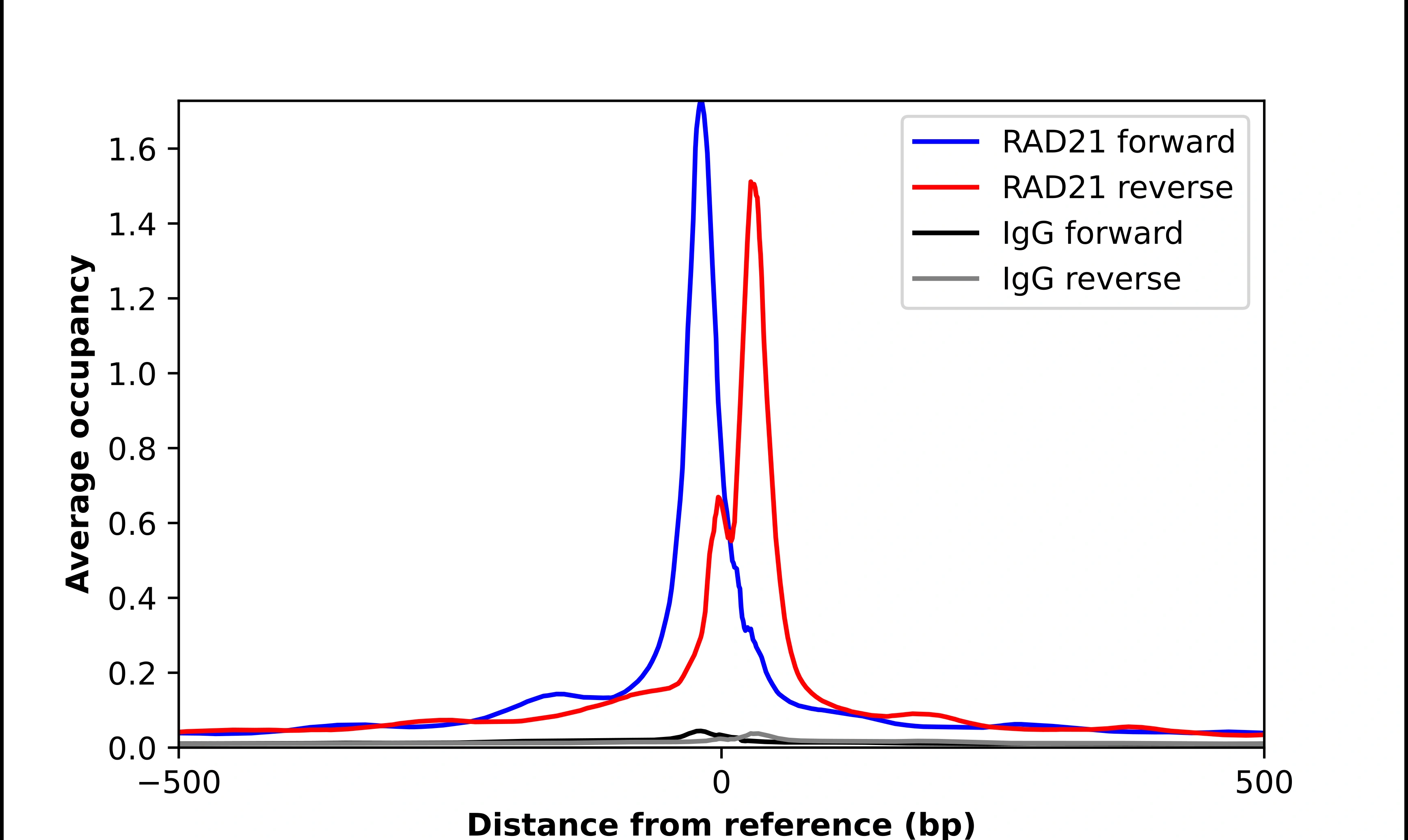 Anti-RAD21 Human Protein Atlas Antibody