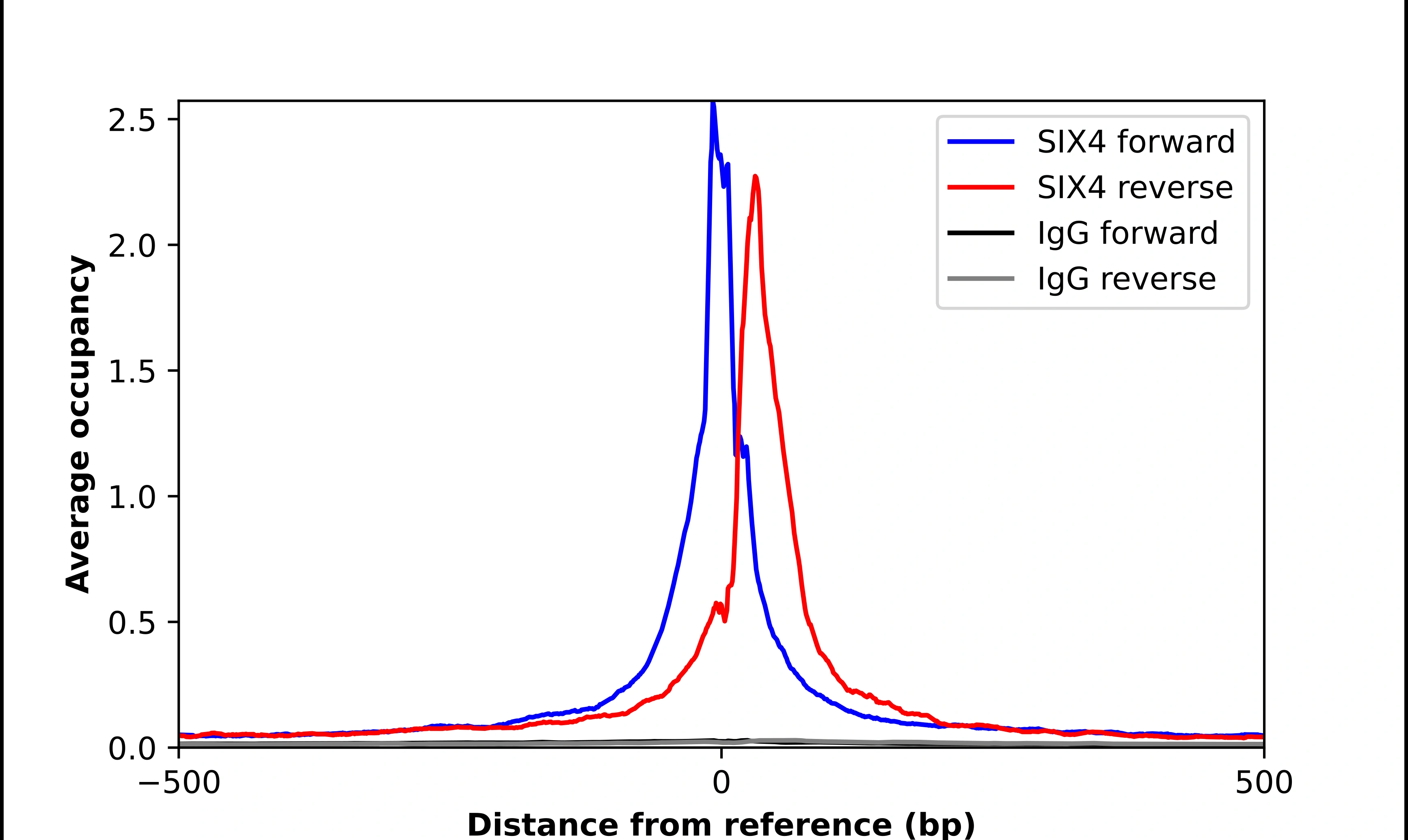 Anti-SIX4 Human Protein Atlas Antibody