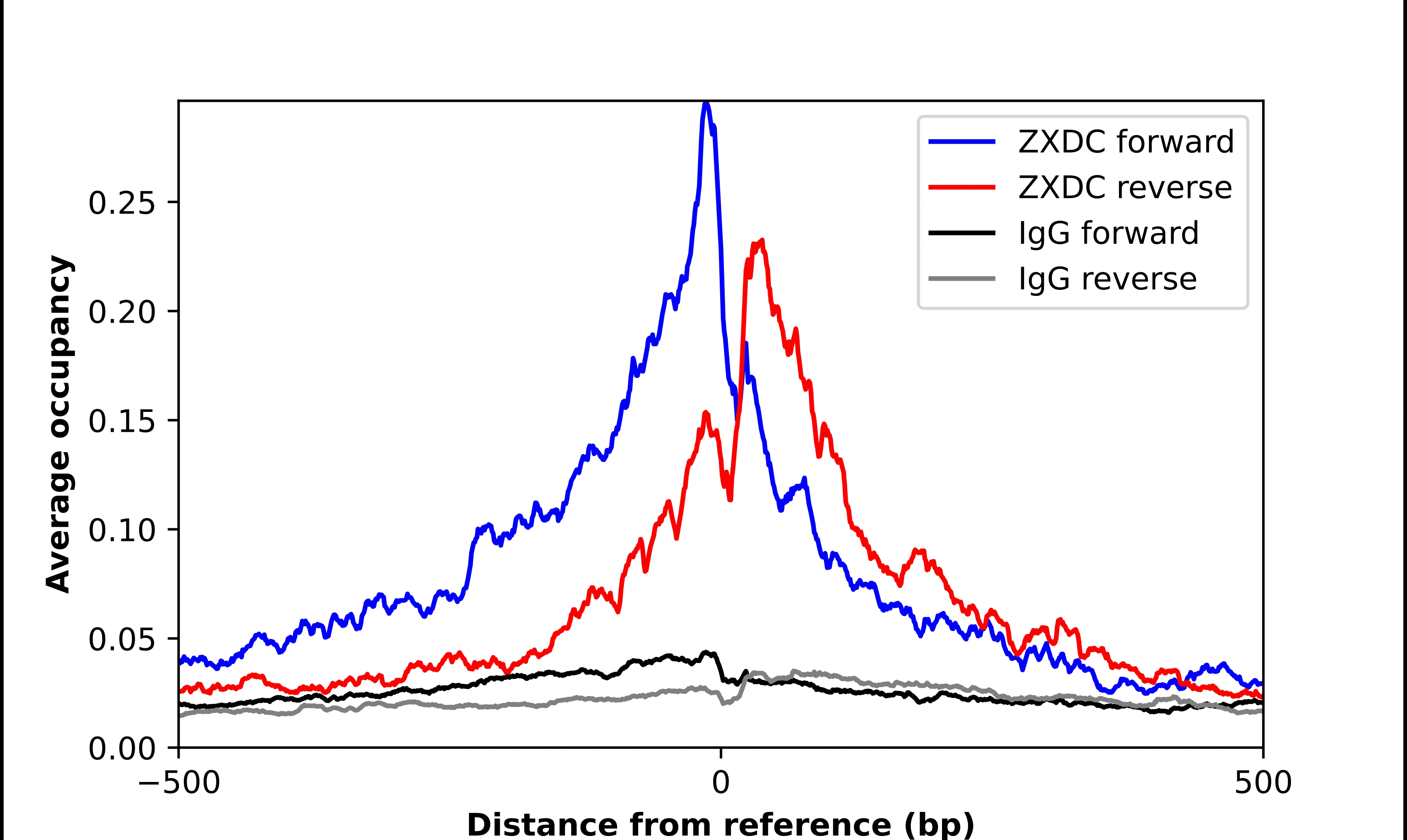 Anti-ZXDC Human Protein Atlas Antibody