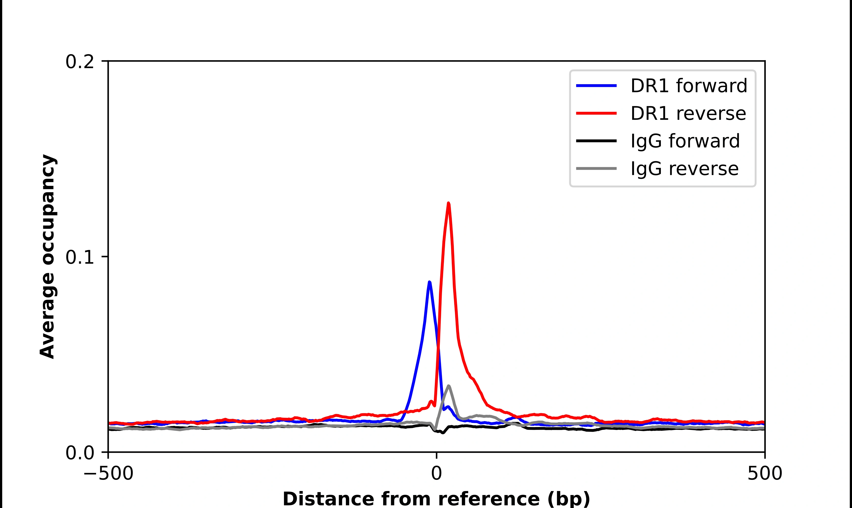 Anti-DR1 Human Protein Atlas Antibody