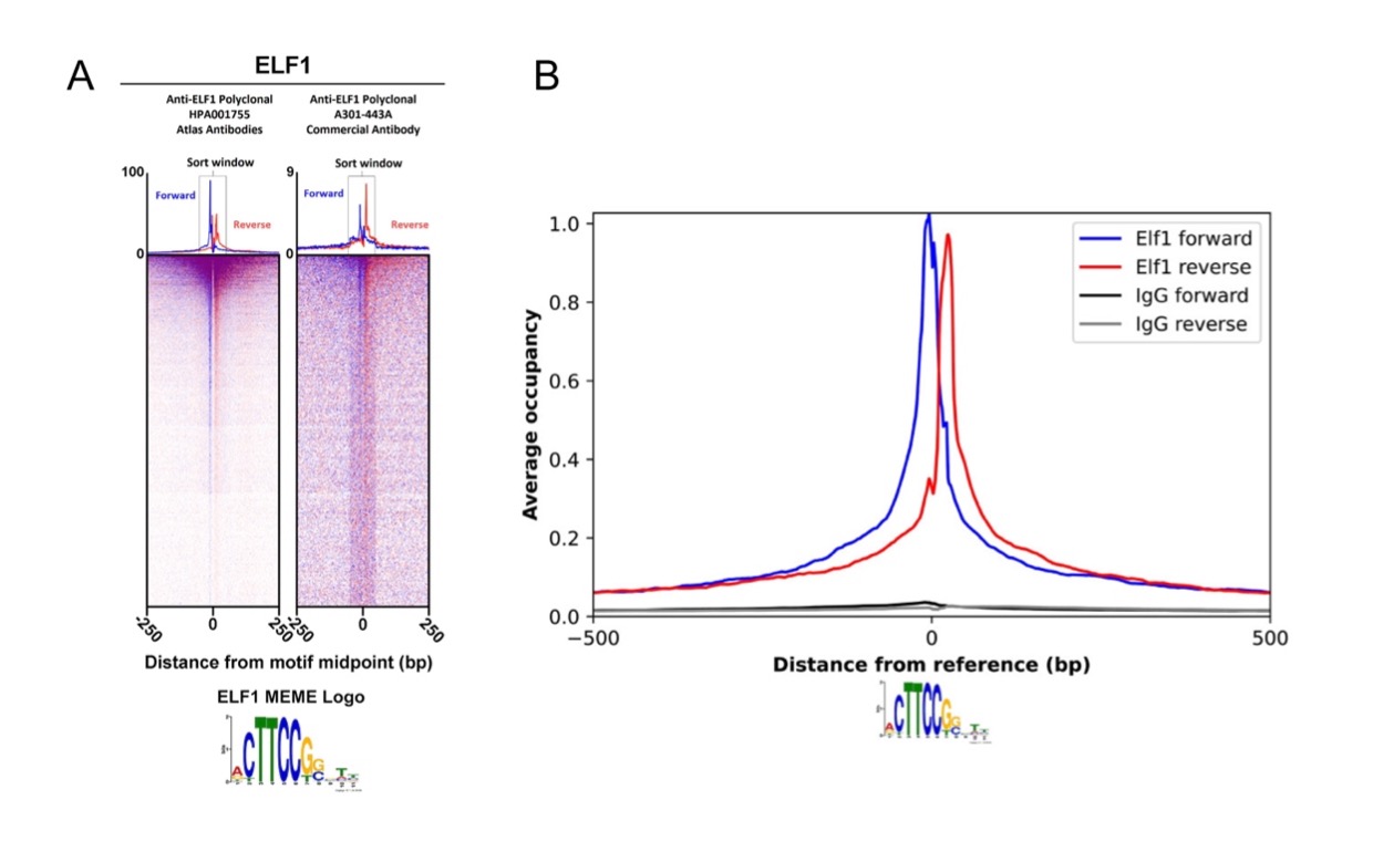 ChIP-Exo-Seq Atlas Antibodies-Benchmark Comparison of Anti-ELF1 