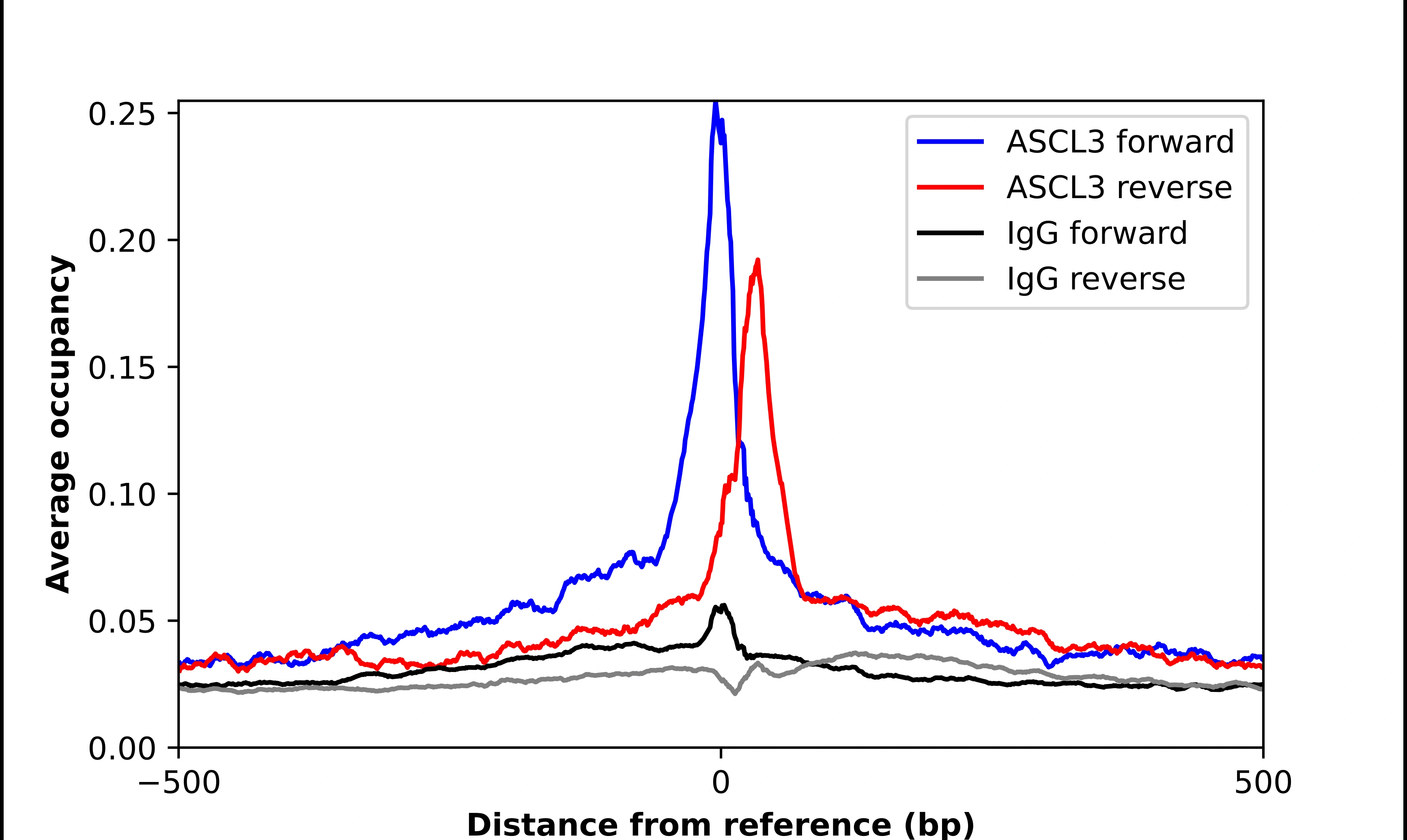 Anti-ASCL3 Human Protein Atlas Antibody
