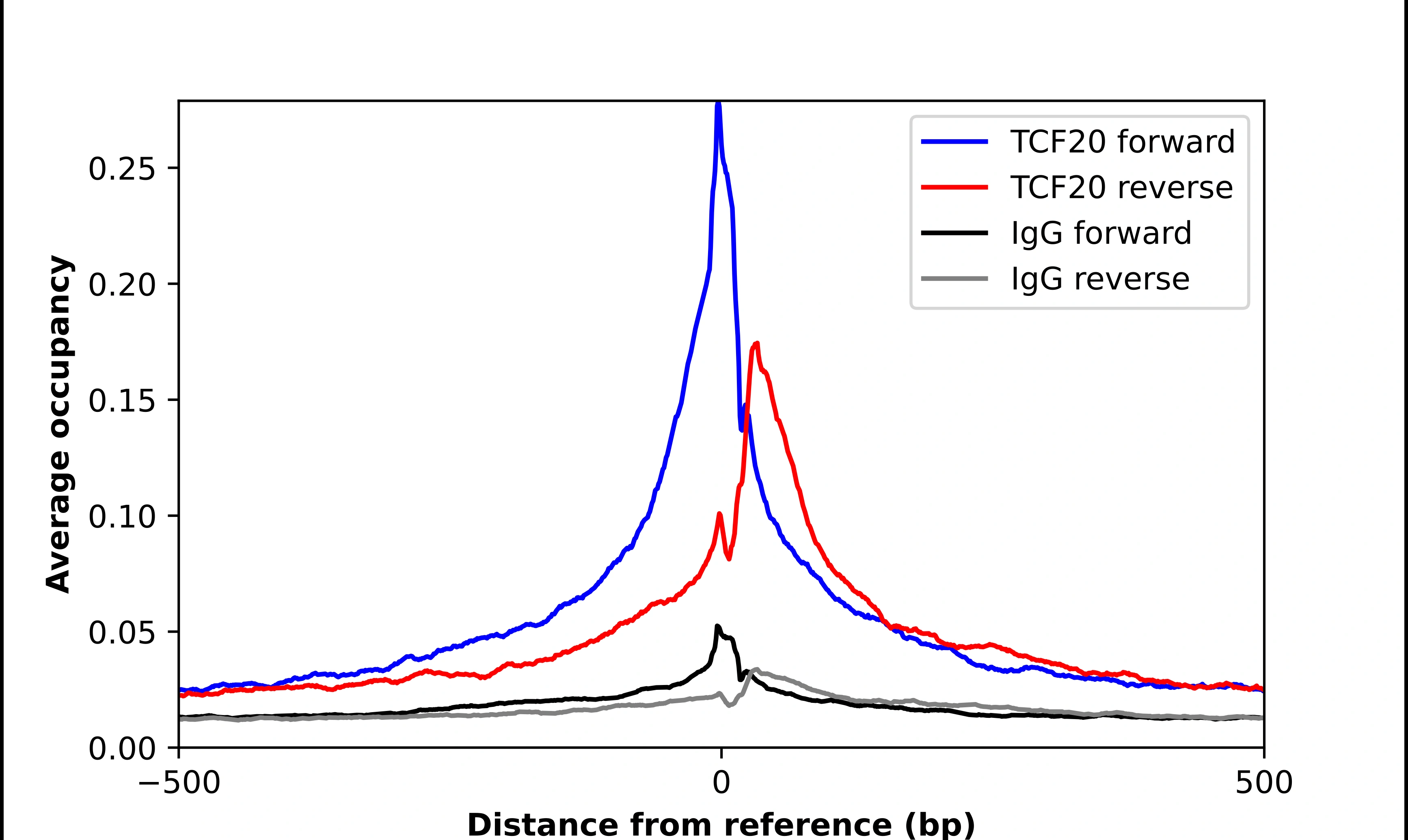 Anti-TCF20 Human Protein Atlas Antibody