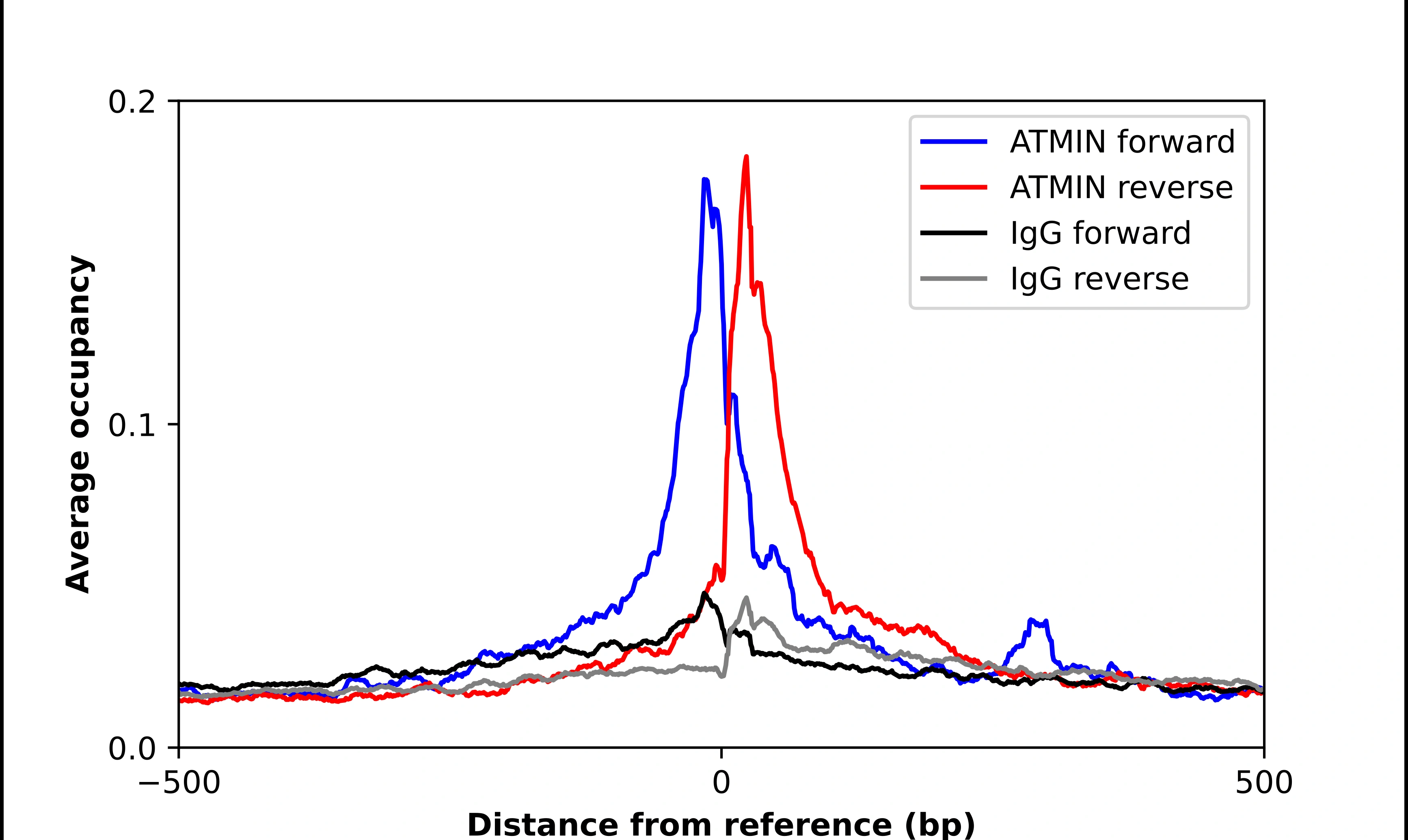 Anti-ATMIN Human Protein Atlas Antibody