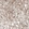 Anti-NR5A1 Antibody