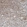Anti-NR5A1 Antibody