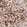 Anti-PNMT Antibody