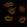 Anti-NF1 Antibody