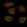 Anti-NF1 Antibody