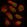Anti-NF1 Antibody