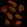 Anti-NF1 Antibody