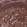 Anti-PTPRC Antibody