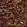 Anti-CHGA Antibody