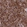 Anti-STX7 Antibody