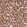 Anti-SDHB Antibody