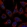 Anti-USP46 Antibody