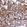 Anti-MTDH Antibody