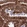 Anti-MTDH Antibody