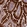 Anti-APOA4 Antibody