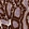 Anti-APOA4 Antibody