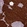 Anti-PHGDH Antibody