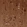 Anti-NECAB1 Antibody