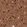 Anti-NECAB1 Antibody
