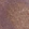 Anti-PGAM5 Antibody