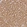 Anti-PGAM5 Antibody