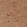 Anti-NECAB2 Antibody