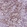Anti-BRD4 Antibody