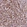 Anti-BRD4 Antibody
