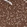Anti-THY1 Antibody