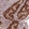 Anti-NSD2 Antibody