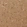 Anti-RHOT1 Antibody