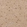 Anti-RHOT1 Antibody