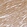 Anti-RHOT1 Antibody