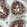 Anti-DIAPH2 Antibody