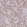 Anti-ERCC1 Antibody