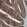 Anti-ASRGL1 Antibody