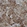 Anti-ASRGL1 Antibody