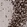 Anti-PARP1 Antibody