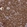 Anti-CARS Antibody