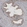 Anti-ACAA1 Antibody