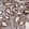 Anti-ACAA1 Antibody