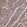 Anti-LAMB2 Antibody