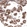 Anti-LAMA4 Antibody